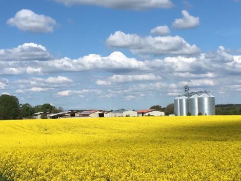 Landwirtschaft Schwinkendorf